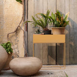 Plant Box