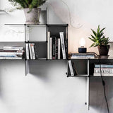 Up the Wall Shelf