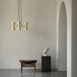Collector Chandelier