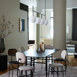 TR Bulb Suspension Light