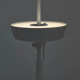 Up/Down Floor Lamp