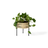 Umanoff Planter