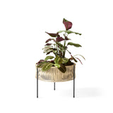 Umanoff Planter