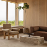Brasilia Lounge Chair