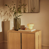 Parcel Hallway Cabinet Low