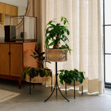 Umanoff Planter