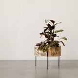 Umanoff Planter