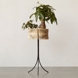 Umanoff Planter