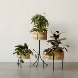 Umanoff Planter