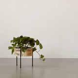 Umanoff Planter