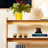 Tract Shelf