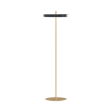 Asteria Floor Lamp