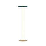 Asteria Floor Lamp