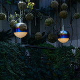 Forked Globe Shade Pendant