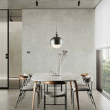 Forked Globe Shade Pendant