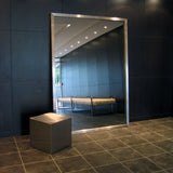 Stainless Steel Leaning Mirror