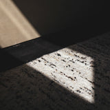 Birch Area Rug