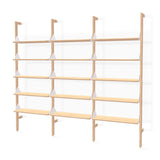 Branch-3 Shelving Unit