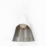 Conic Section Light
