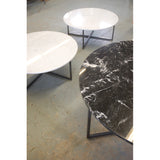 Marble Coffee Table
