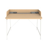 Carrier Desk