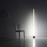 Induction Tube Light