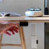 Bok Adjustable Desk