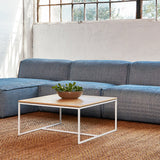 Tobias Square Coffee Table